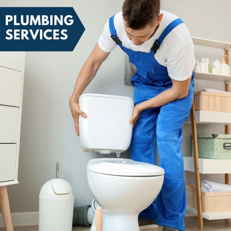 Plumbing Company in Valier, IL